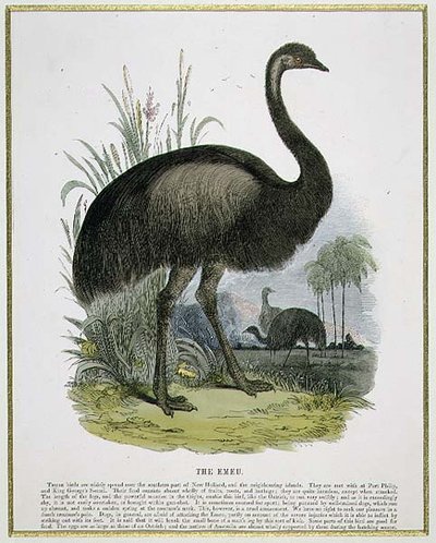The Emu, pædagogisk illustrationspub. af Selskabet til Fremme af Kristendomskundskab af Josiah Wood Whymper