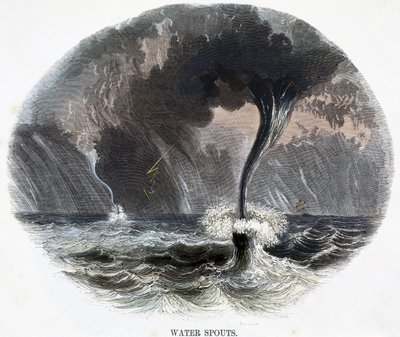 Vandtud, fra Phenomena of Nature, 1849 af Josiah Wood Whymper