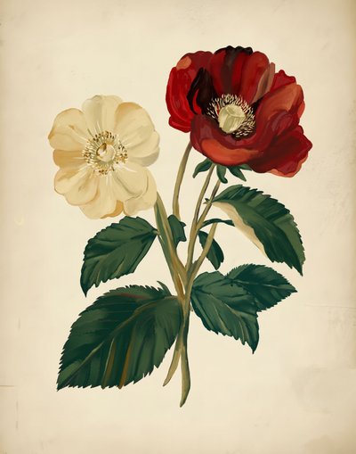 Elegante røde og gule blomster af Josie George