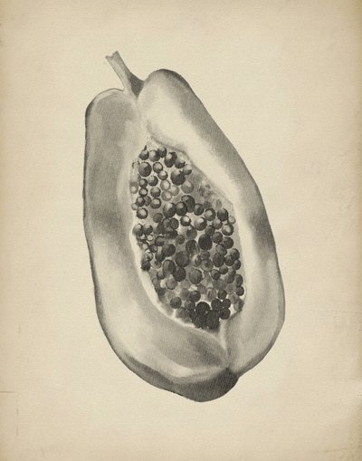 Halv tropisk papaya af Josie George