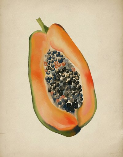 Halv frisk papaya af Josie George