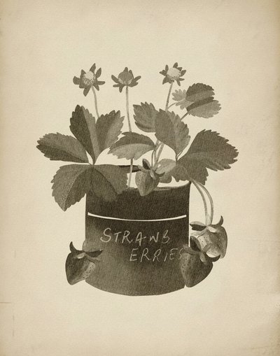 Vintage-illustration af jordbær af Josie George