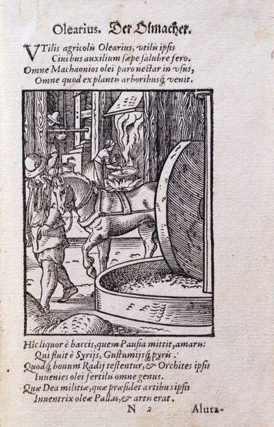 Oil Maker, illustration fra den latinske udgave af 
