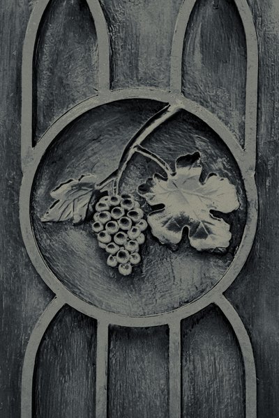 Fruits of the Garden, fra serien The Observant, 2016 (fotografi) af Joy Lions