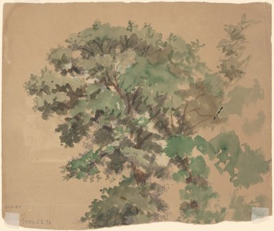 Træ [verso] af Jr. Enoch Wood Perry