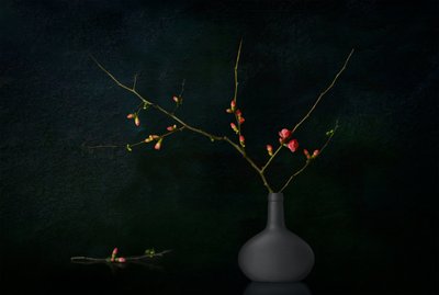 Mørke, blomstrende grene af Juan Antonio Palacios