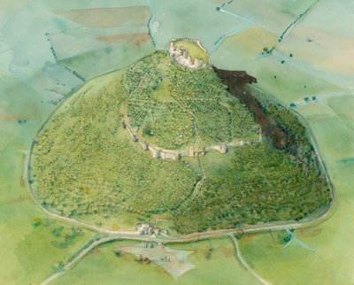 Beeston Castle, c2010 af Judith Dobie
