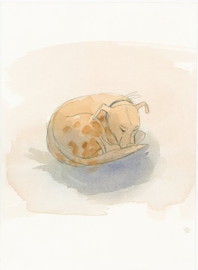 Sovende hund, 2003. af Judith Dobie