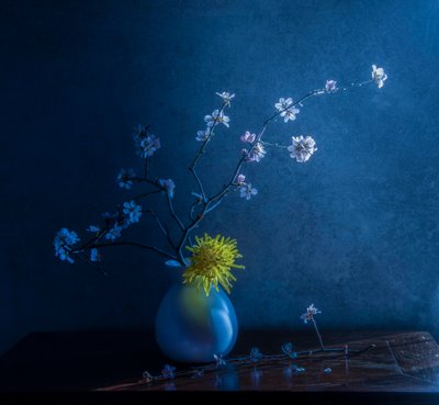  af Judy Tseng