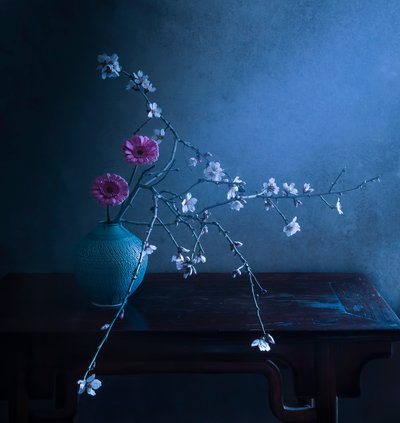  af Judy Tseng