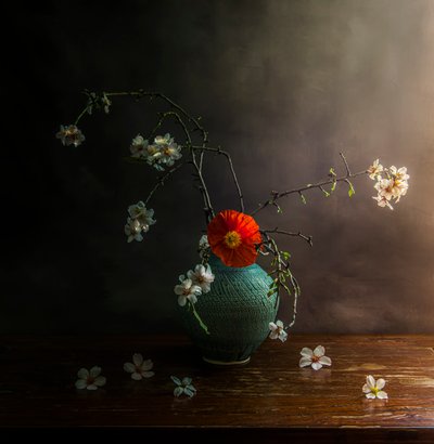  af Judy Tseng