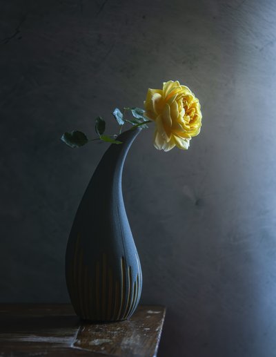 Moody Yellow Rose af Judy Tseng