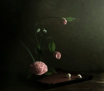  af Judy Tseng