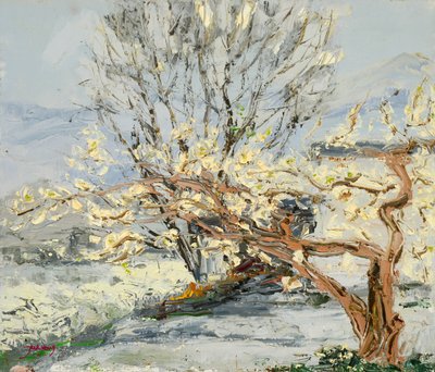  af Jukyong Park