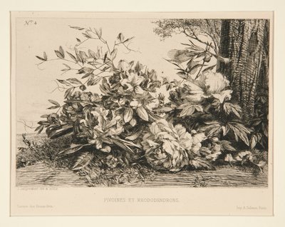 Pæoner og Rhododendron af Jules Ferdinand Jacquemart