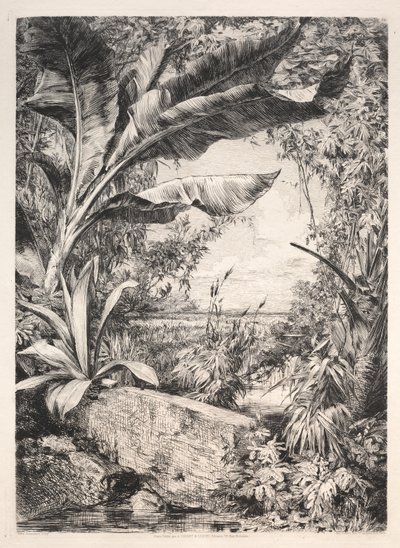 Drivhusets planter af Jules Jacquemart