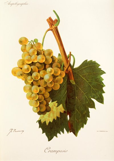 Cramposie drue af J. Troncy af Jules Troncy