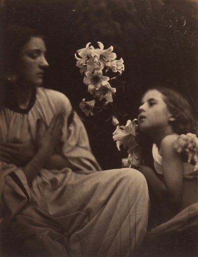En undersøgelse, 1865-66. af Julia Margaret Cameron