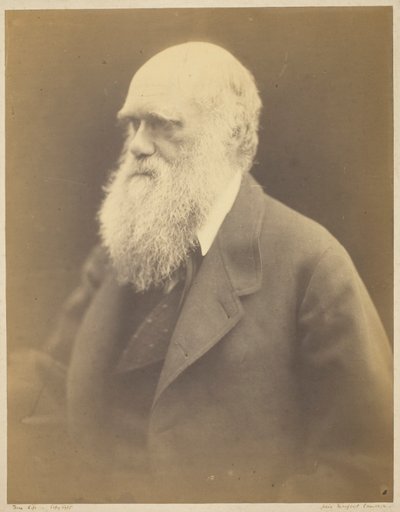 Charles Darwin af Julia Margaret Cameron