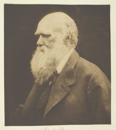 Charles Darwin af Julia Margaret Cameron