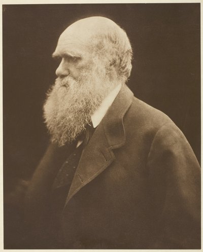 Charles Darwin af Julia Margaret Cameron