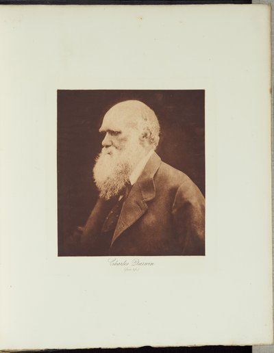  af Julia Margaret Cameron