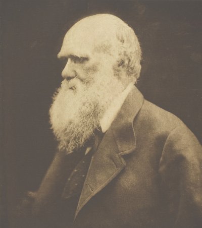 Charles Darwin, 1868, trykt ca. 1893. af Julia Margaret Cameron