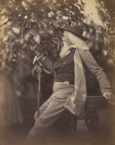 Charles Hay Cameron, Esq., i sin have ved Freshwater, 1865-67. af Julia Margaret Cameron