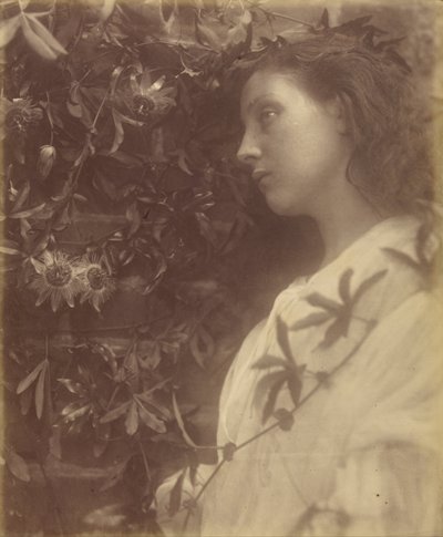 Maud "Der er faldet en pragtfuld tåre fra passionsblomsten ved porten" af Julia Margaret Cameron