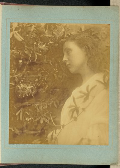  af Julia Margaret Cameron
