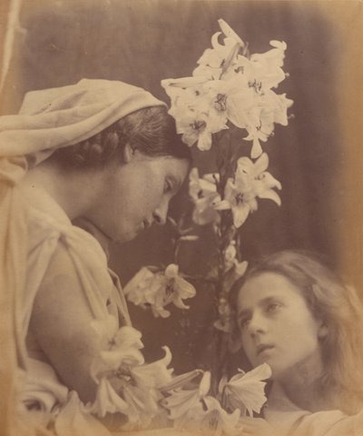 Nattverden af Julia Margaret Cameron