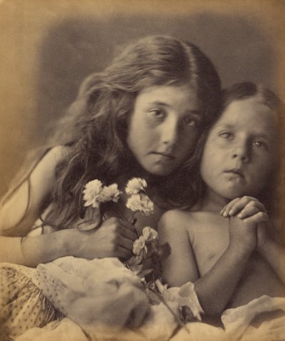 De røde og hvide roser af Julia Margaret Cameron