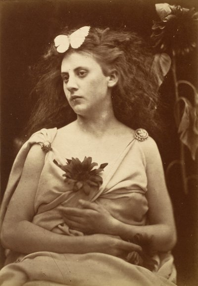Solsikken af Julia Margaret Cameron
