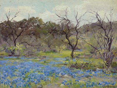 Tidligt forår - Bluebonnets og Mesquite af Julian Onderdonk