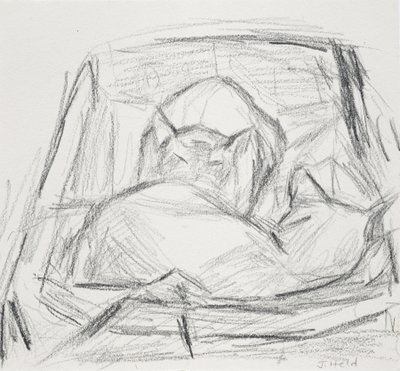 Katte, 2015 af Julie Held
