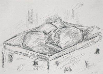 Cats Nestling, 2015 (blyant) af Julie Held
