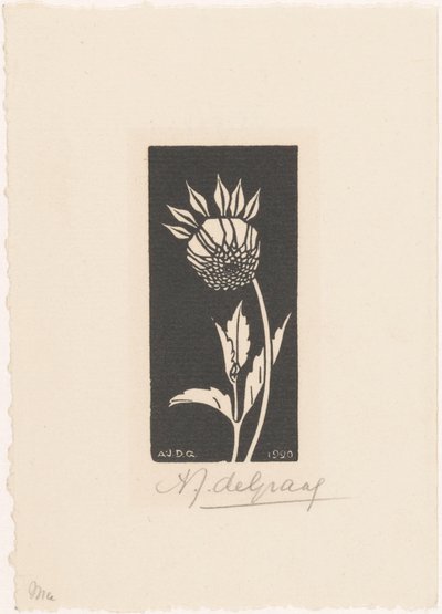 Dahlia af Julie de Graag (signed by artist)