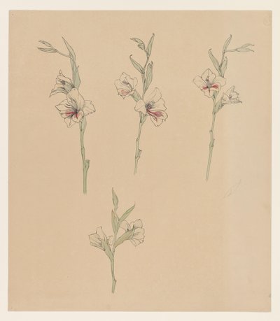 Blomsterstudier af Julie de Graag