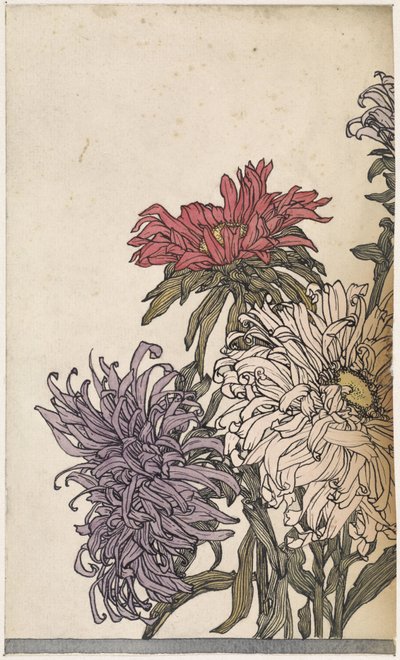 Krysantemum af Julie de Graag