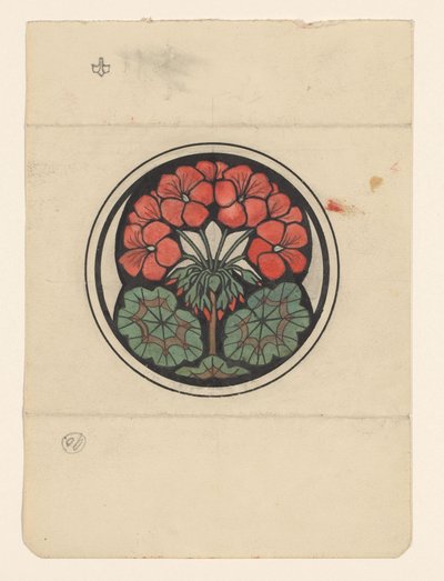 Geranium af Julie de Graag