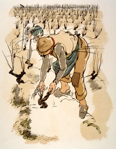 Humoristisk vinillustration 1946.Illustration af Julien Pavil af Julien Pavil