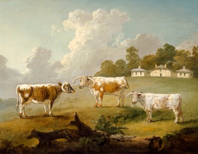 Tre langhornede kvæg i landskab (olie på lærred) af Julius Caesar Ibbetson