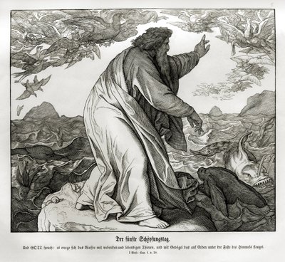 Skabelsens femte dag, 1. Mosebog af Julius Schnorr von Carolsfeld