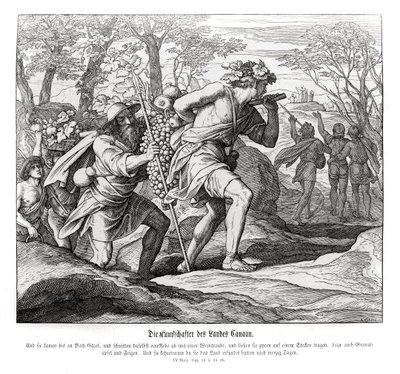 Spejdere til Kanaans land, Numbers af Julius Schnorr von Carolsfeld