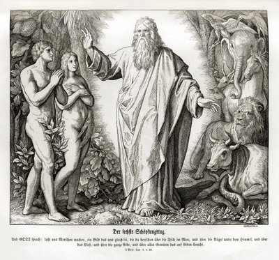 Skabelsens sjette dag, 1. Mosebog af Julius Schnorr von Carolsfeld