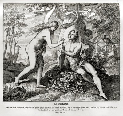 Syndefaldet, Første Mosebog af Julius Schnorr von Carolsfeld