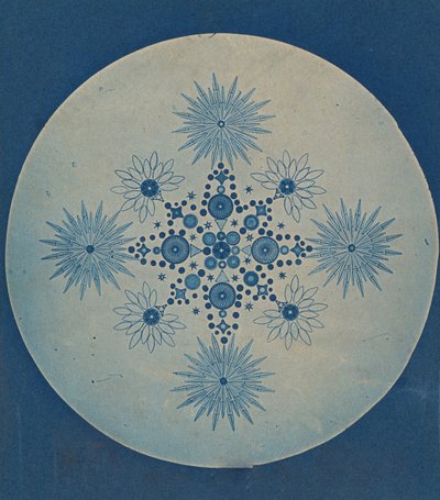 [Kalselalgerfrustler], ca. 1870. af Julius Wiesner.