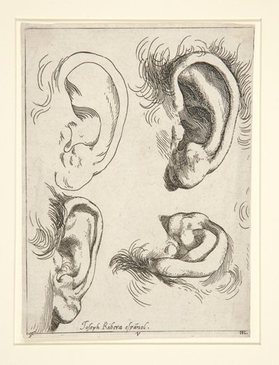 Studier af fire ører af Jusepe de Ribera