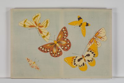 Chō senshu (Tusind slags sommerfugle), bind 1 af Kamisaka Sekka
