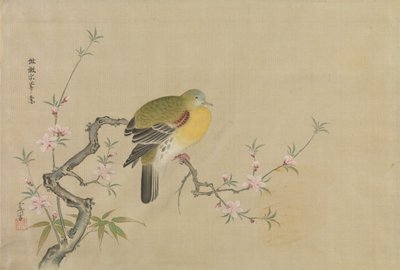 Album med kopier af kinesiske malerier, 1600-tallet. af Kanô Yôboku Tsunenobu
